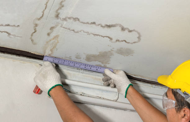 Reliable Mold Remediation contractor in Harrisville, NH by Water Damage Irwin